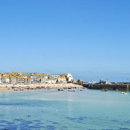 Driftwood St Ives (Cornwall)